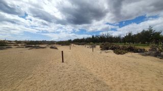 2023-GC--Mapalomas dunas-S123-021.jpg